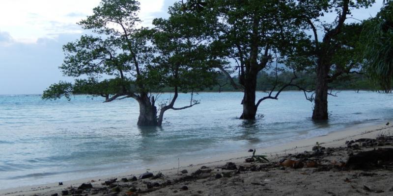 Climate Change impacts in Vanuatu