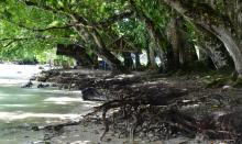 coastal erosion - Climate Science information coastal erosion